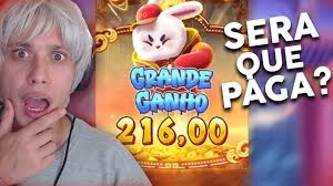 horarios rabbit fortune