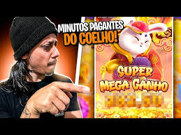 horário de jogar fortune rabbit